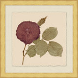 Pressed Flowers 3 Print