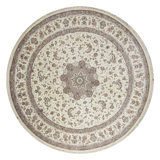 Oriental Area Rug