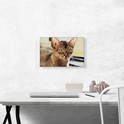 Reproduction sur toile tendue Abyssinian