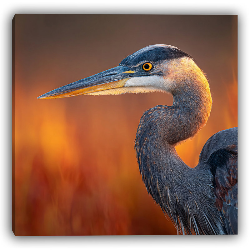 Toile tendue Ember Light Heron