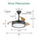 Chesterine 36'' Ceiling Fan with LED Lights