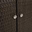 Rattan Accent Cabinet-14279692