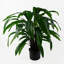 60cm Faux Plant in Pot Liner