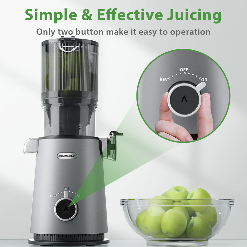 ECOSELF Cold Press Juicer with 4.35" Large Feed Chute Fit Whole Fruits and Vegetables & Easy to Clean, Silver