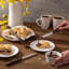 Tramontina Dishwasher-safe Wooden Handle 6 Pcs. Fruit/Tomato Knife Set