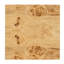 Auberon Solid Wood End Table-1142729919