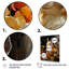 «Brown Squirrel Squirrels Sanctuary An», reproduction d'art sur toile, animaux-439251201-439251214