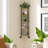 Sturtz 5 Piece Corner Floating Shelf-596024139
