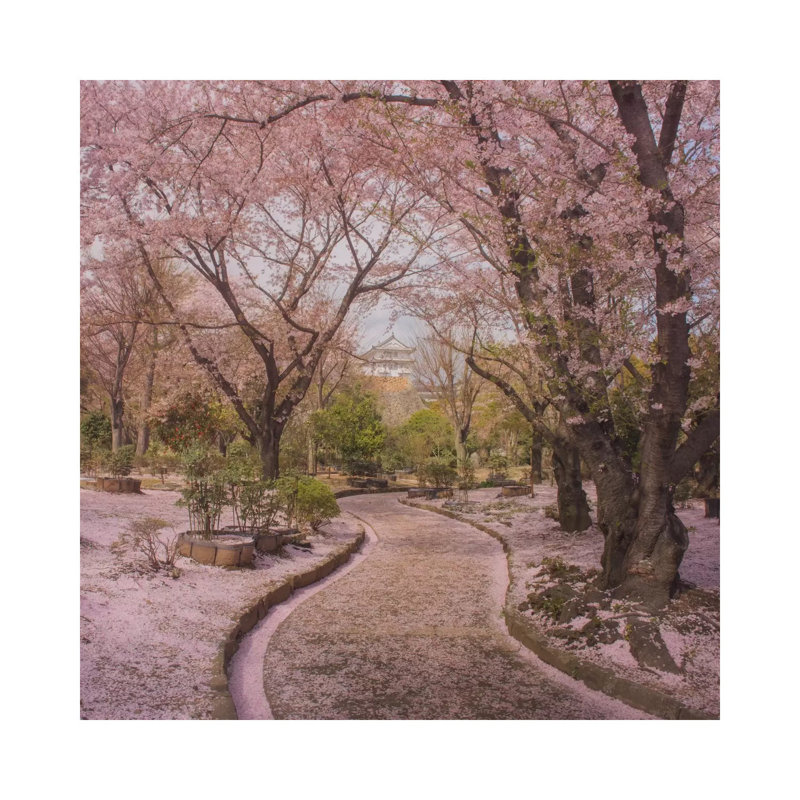 Spring In Japan IX by Daniel Kordan - Wrapped Canvas Print, 30.48 cm H x 30.48 cm W