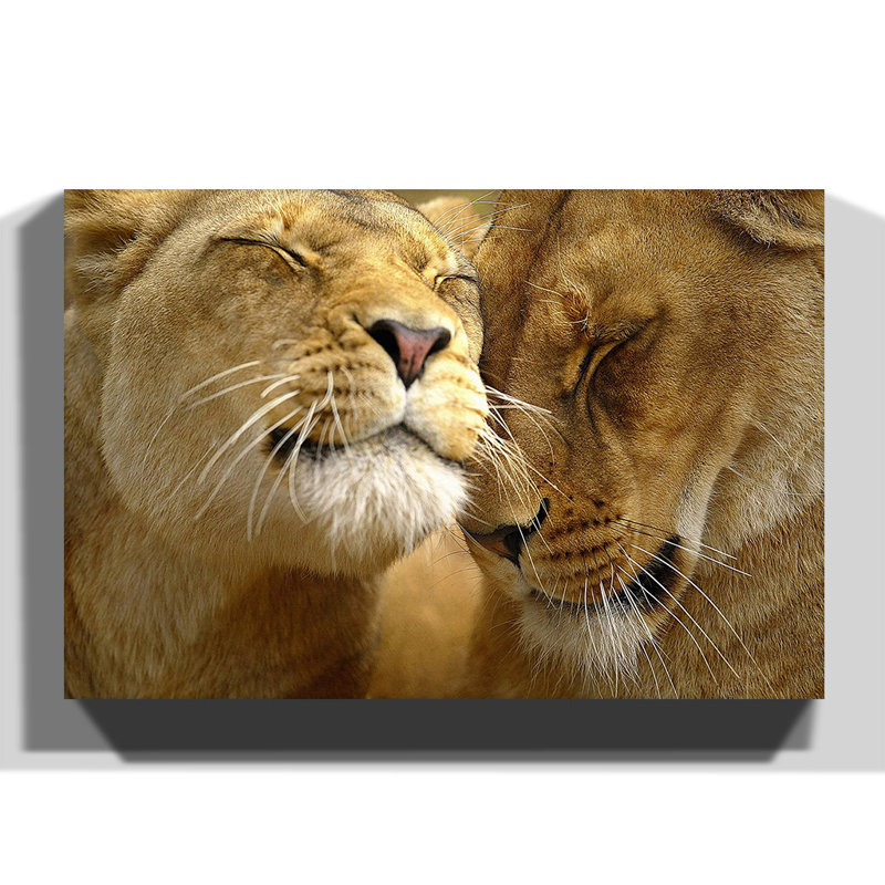 Wrapped Canvas Print, 35cm H x 50cm W