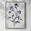 Reproduction encadrée FLORAL Series DLLV - bois massif-1213610249