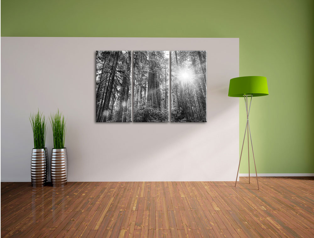 3-tlg. Leinwandbilder-Set „Wald bei Sonnenlicht“, Fotodruck