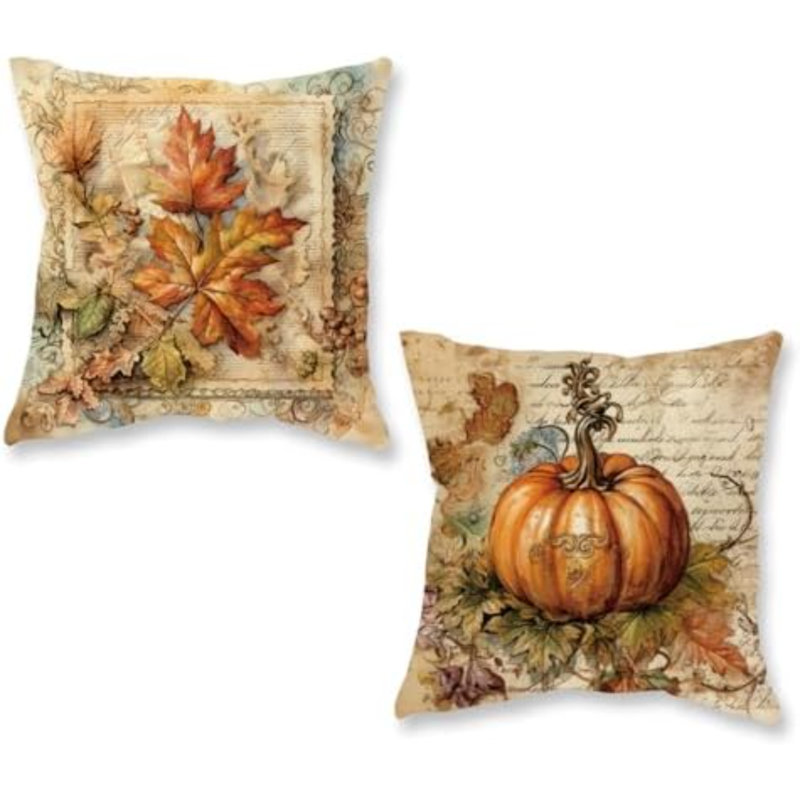 Ensemble de 2 coussins décoratifs d'automne 16 x 16 po, Brown, Square 20"