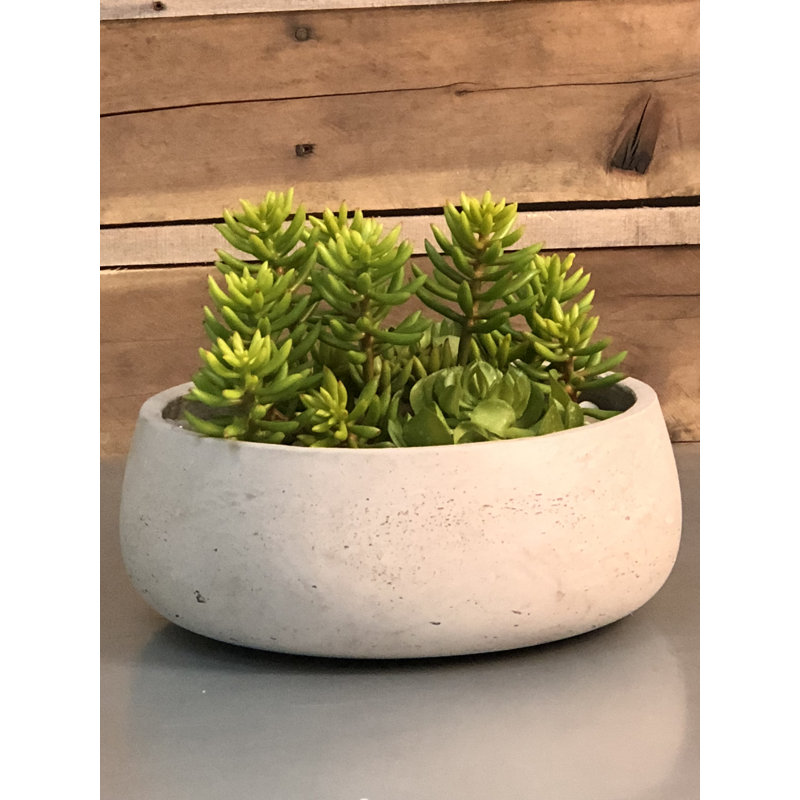 9'' Faux Succulent Plant in Pot
