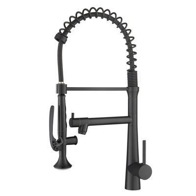 Robinet de cuisine robuste de style commercial - évier à pré-rinçage à poignée simple avec rebord noir mat