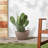 Edgewater Pot Planter-61000485-16108024