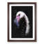 A Pink Flamingo Bird - Picture Frame Graphic Art Print-56856887-56856890