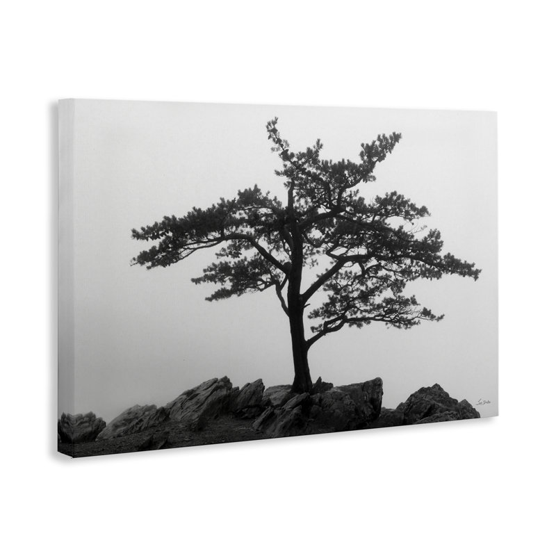Art mural sur toile Lone Tree on Rocks par Lori Deiter, H 30 po x l 45 po