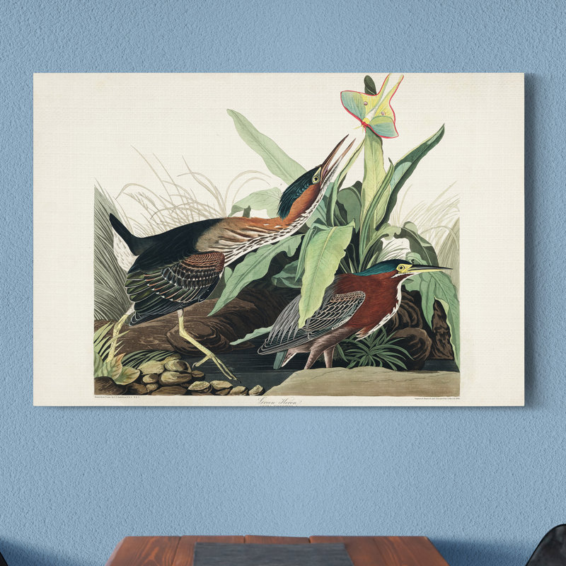 « Pl 333 Green Heron », reproduction d’art sur toile tendue, H 48 po x l 32 po x P 1 po