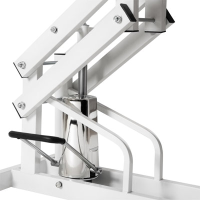 Hydraulic Pet Grooming Table With Arm