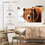 Regard d'ours grizzly-107988698