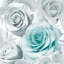 Madison 10.05m x 53cm Glitter Wallpaper Roll-38346756