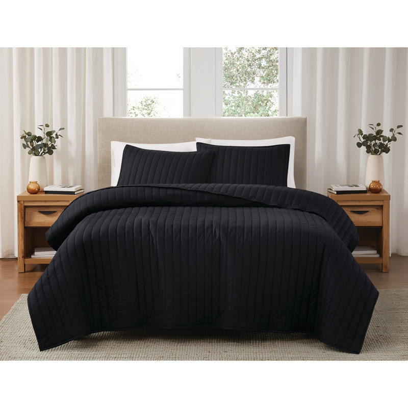 Ensemble de courtepointe standard en coton, Courtepointe double / grand + 2 taies décoratives, Noir