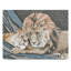 Nonette «the Lionesse», impression sur toile tendue-30395090