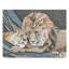 Nonette «the Lionesse», impression sur toile tendue-30395092