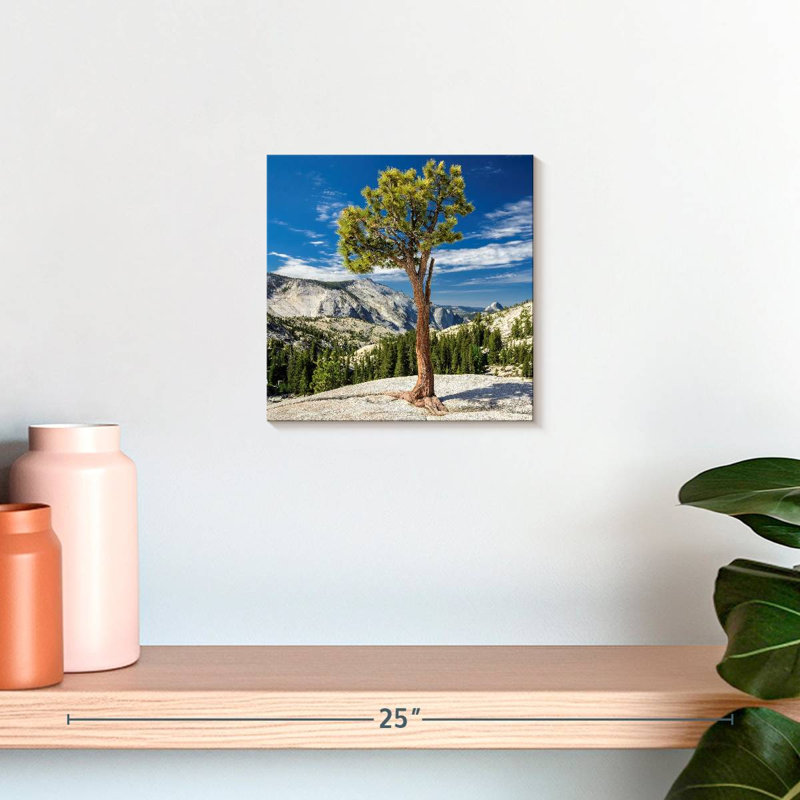 Arbre Harnek Yosemite Park, H 10 po x l 10 po