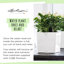 Planter Box-26992057-26992059