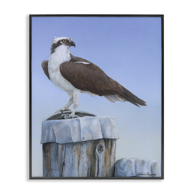 «Harbor Master Bird» perché, estampe numérique par Valerie Rogers, H 30 po x l 24 po, Giclée encadrée noir minuit