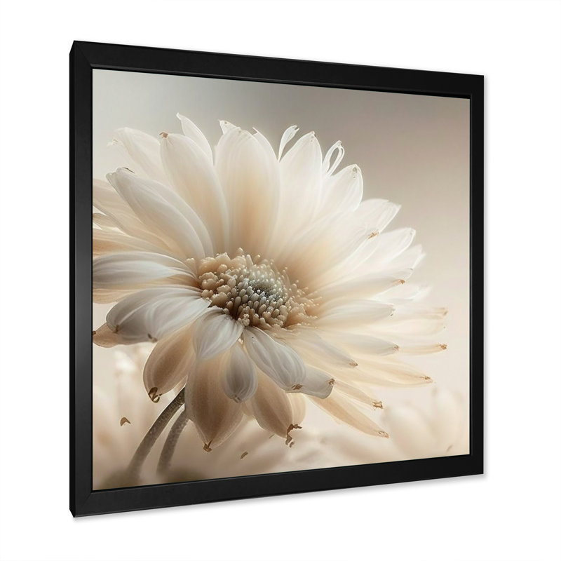 Art sur toile Gerbera blanc III - Gerbera, Cadre photo noir, H 16 po x l 16 po
