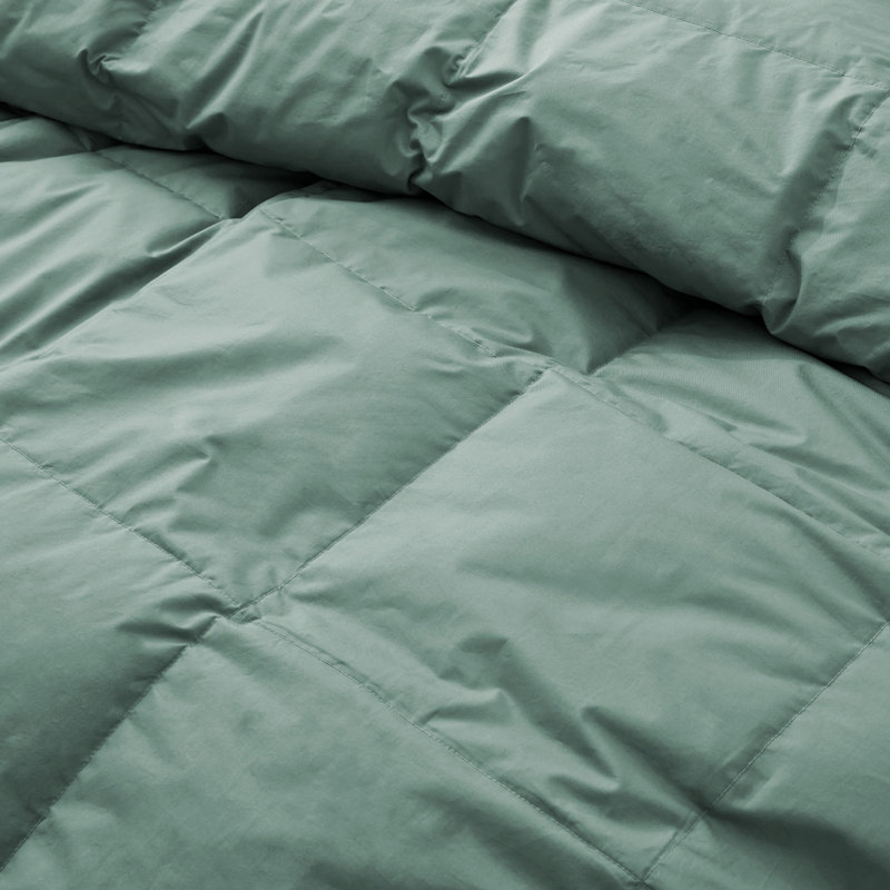All Season Cotton Down Comforter/Duvet Insert, Twin Comforter, Green