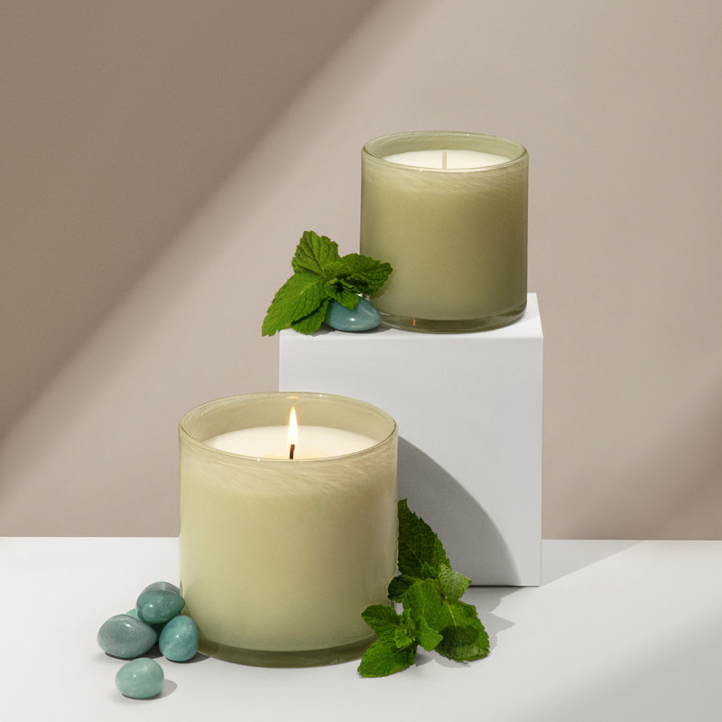 Wild Honeysuckle Classic Candle, 15.5 oz