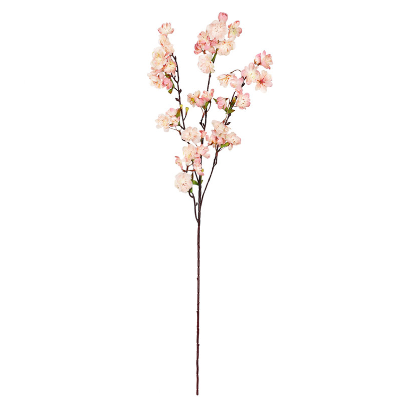Fleur de cerisier en fleurs, Rosé / pêche