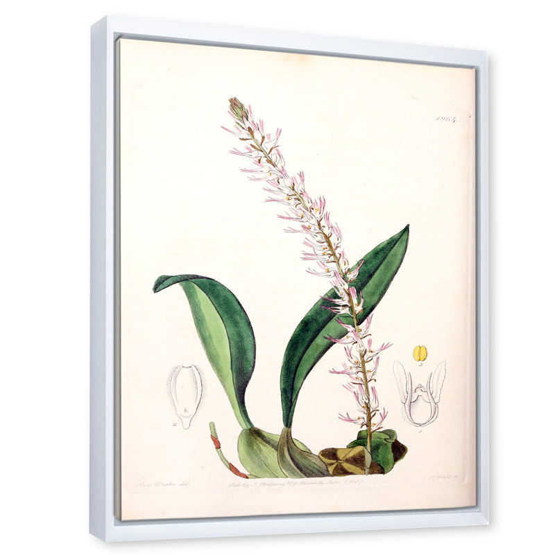 Vintage London Plants V - peinture sur toile, H 20 po x l 12 po x P 1po, Cadre flottant blanc