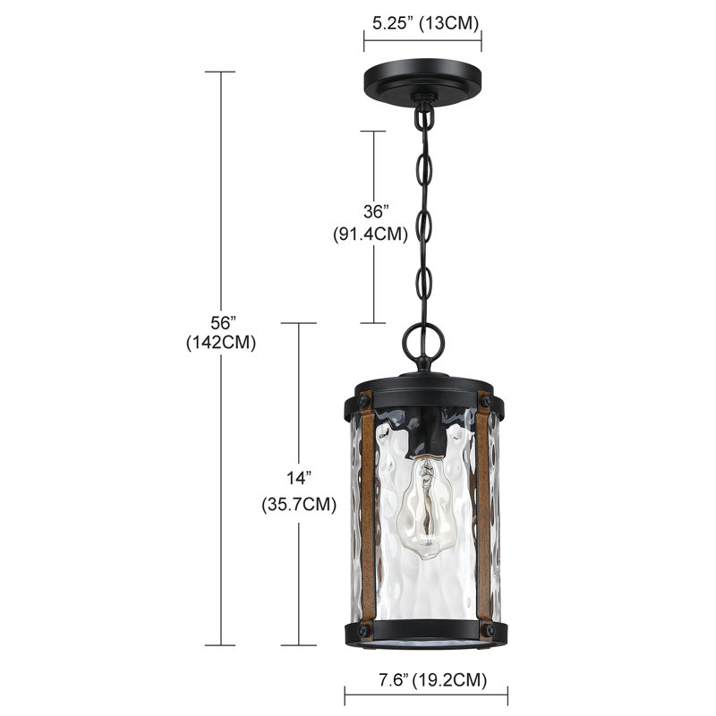 Lemoore Outdoor Hanging Lantern