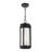 Adia 2 - Light Outdoor Hanging Lantern-1977574250