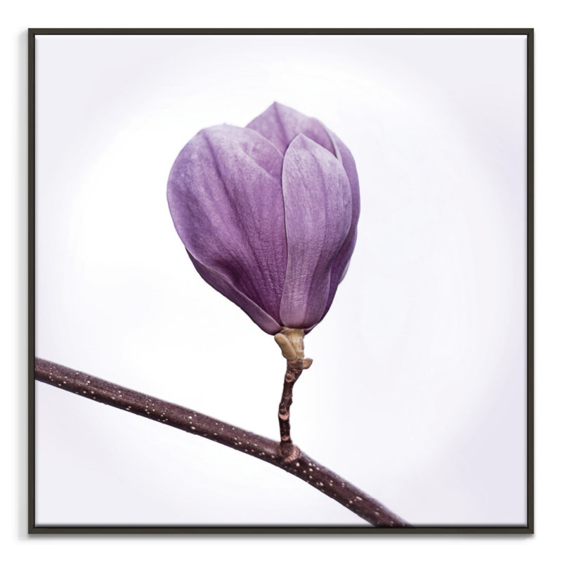 Print on Canvas, Black Floater Frame, 102cm H x 102cm W