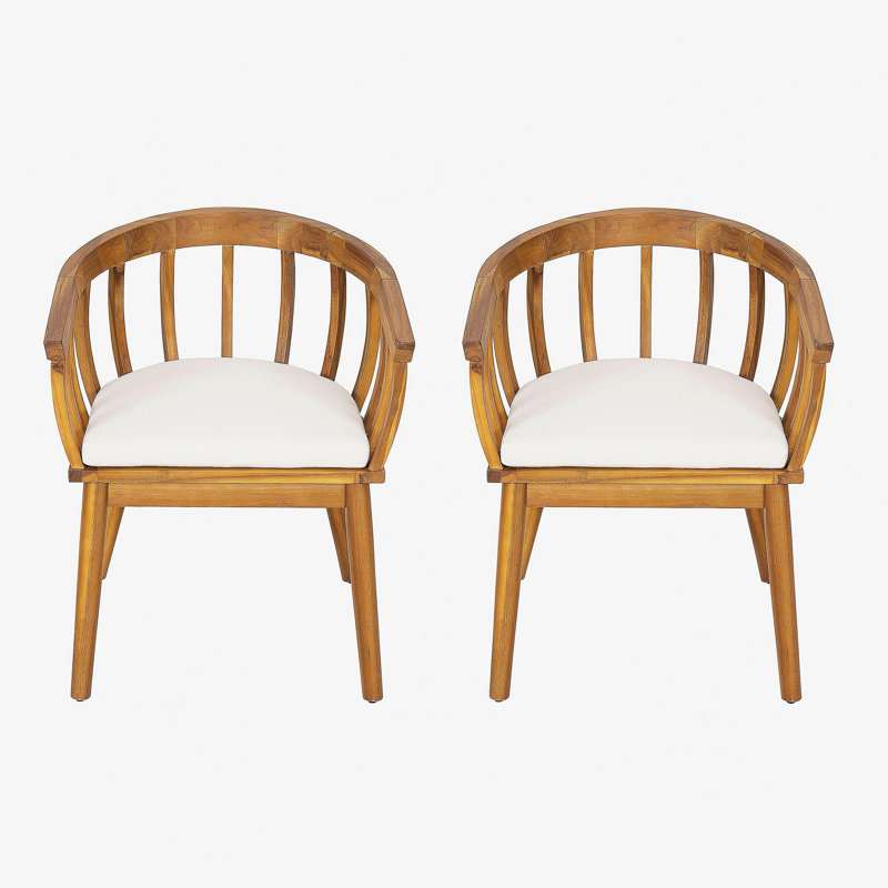 Klismos Dining Armchair(Set of 2)