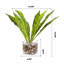 Fausse feuille verte dans un vase en verre cube
