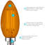 4,5 W (équivalent à 40 W), ampoule à DEL B11, ampoule colorée, culot E12 / candélabre-128880324-128880325