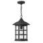 Freeport 1-Light Outdoor Hanging Lantern-2091150840-2091150847