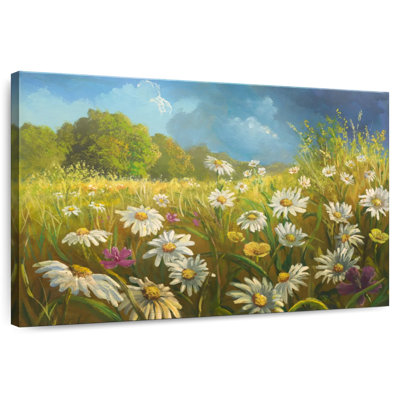 Champ de fleurs d'Alvord en été
