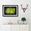 Leaf Roads Paint Splash - Picture Frame Graphic Art-56865284-56865285