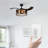 Mirya 42'' Ceiling Fan with Light Kit