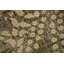 Tapis floral rétro 6 x 9