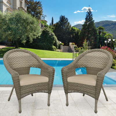 Watts Wicker Single Patio Dining Chair with Cushion