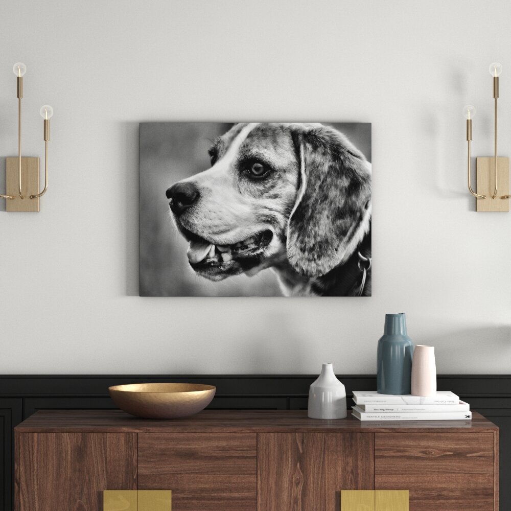 Leinwandbild Schöner Beagle im Seitenprofil in Monochrom